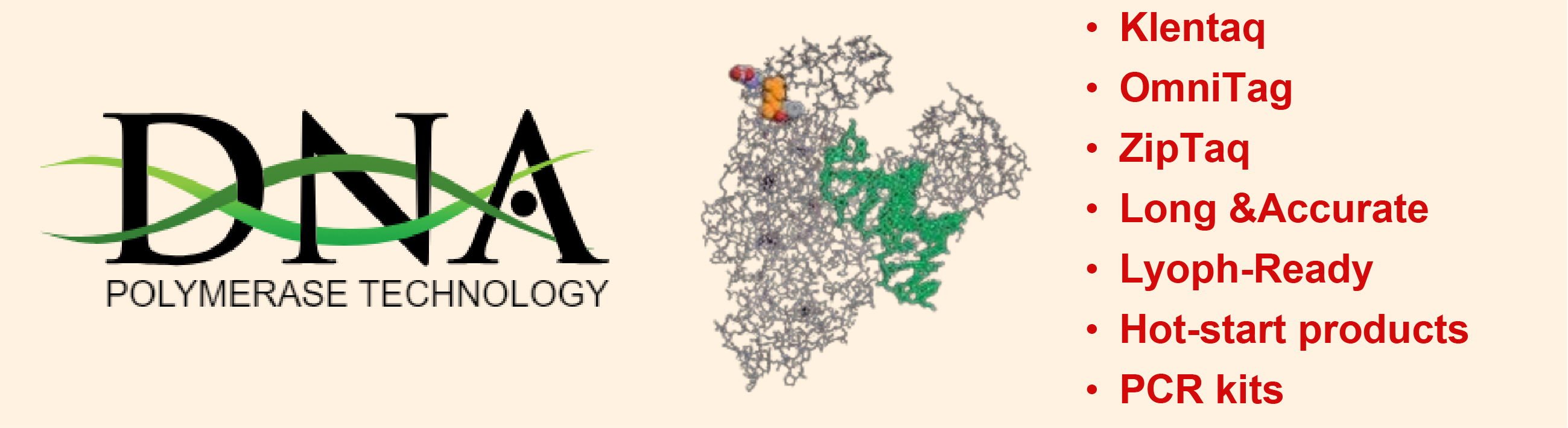 DNA Polymerase Technology