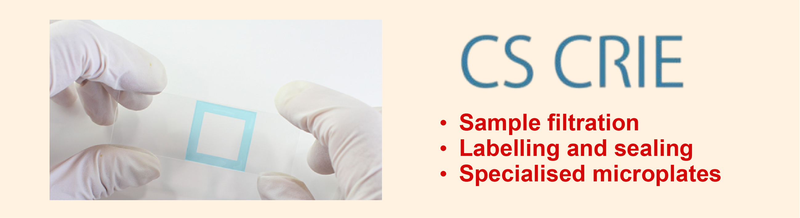 CSCRIE Corporation