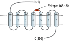 AGR-052_ept.gif