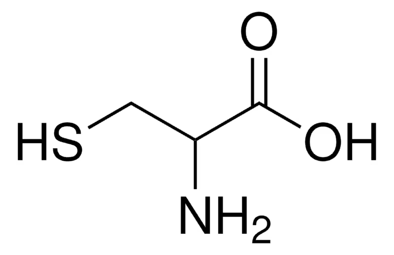 10-861677.jpg