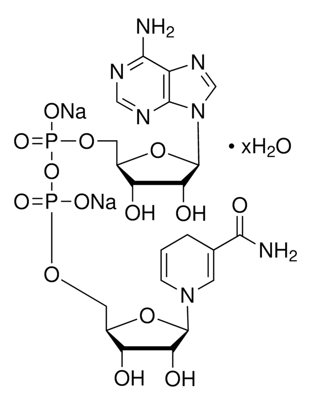 33-N8129.png