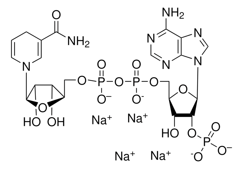 34-N7505.png