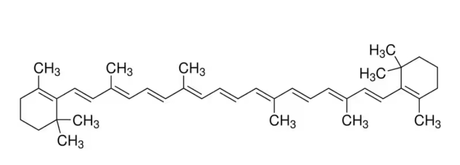38-C4582.jpg
