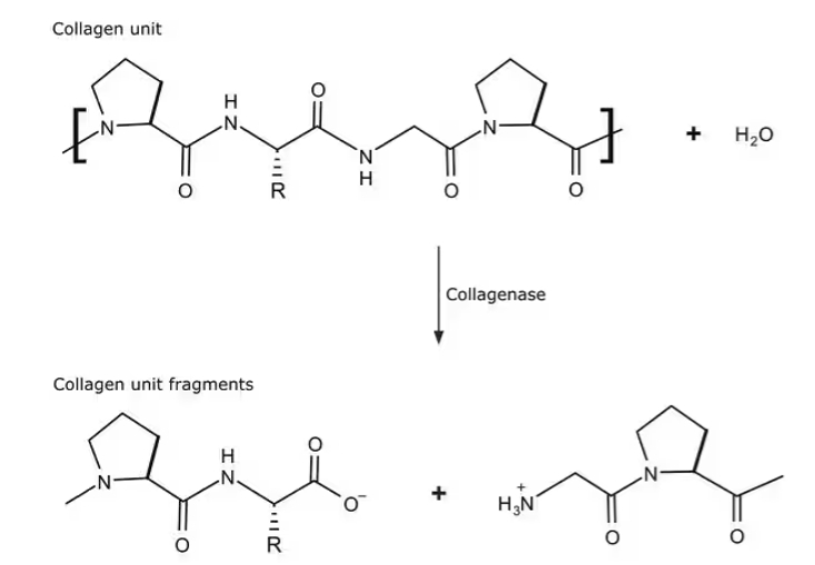 129-C9407.jpg