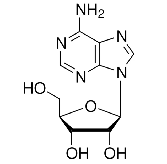 131-A4036.jpg