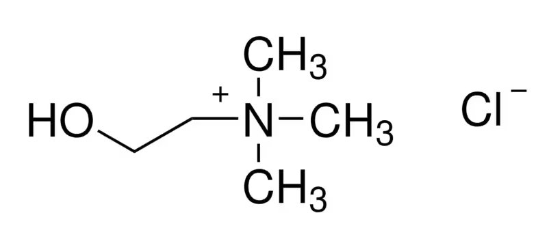 152-C7527.jpg