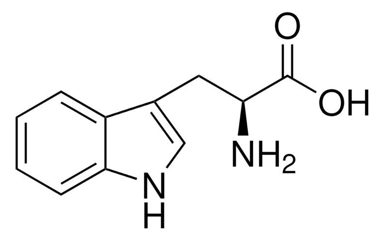 194-T8941.png