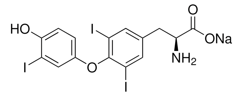 199-T6397.png