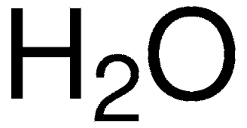 206-W1503.png