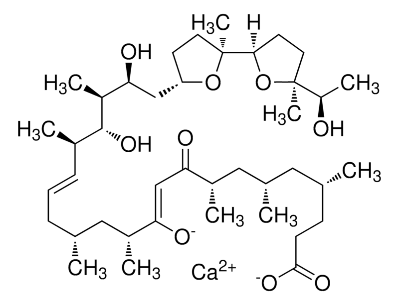 221-I0634.png