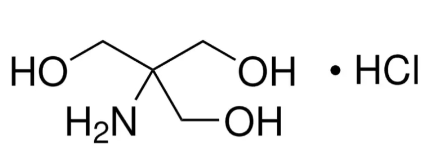 240-V900312.jpg