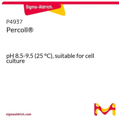 256-P4937.png