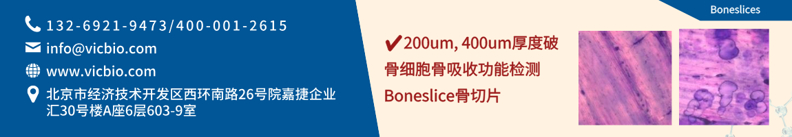 Boneslices页面.png