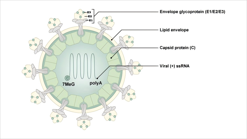 688c16b229492.png 产品图片(1).png