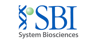 68d23906a7fc9.png images.png