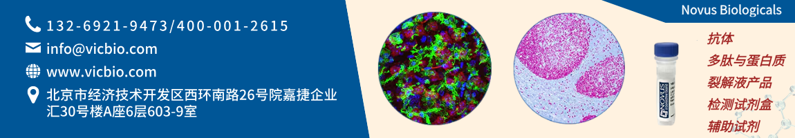 NovusBiologicals页面.png