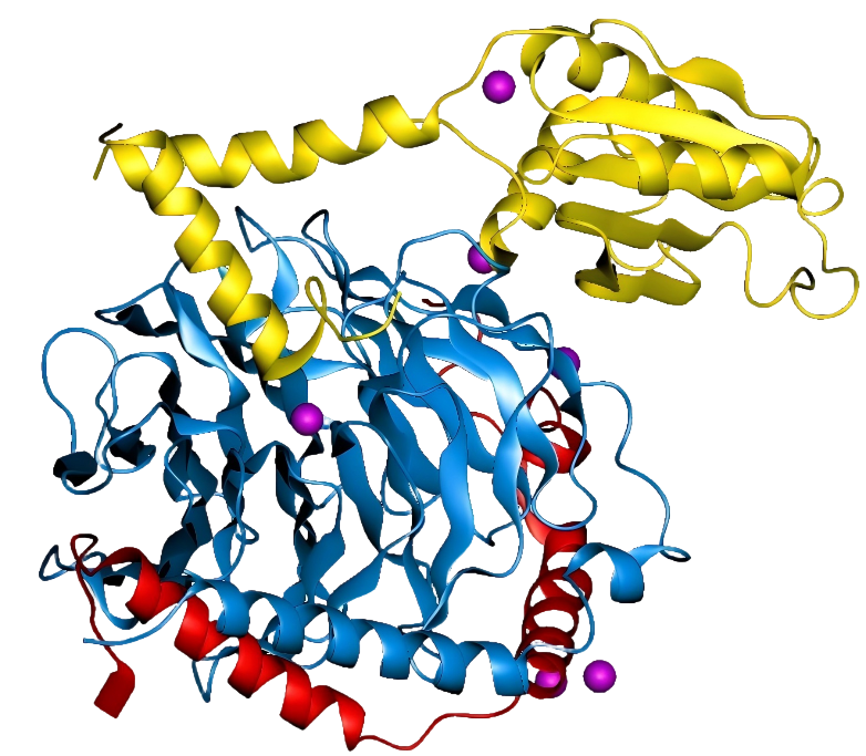 6900198ae1017.png 1b9x_opm(1)(1).png