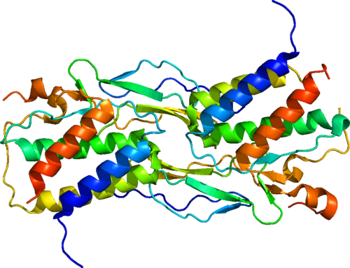 NBL-230034-Interleukin 15.png