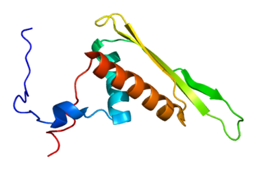 Protein_DHX9_PDB_1uil.png