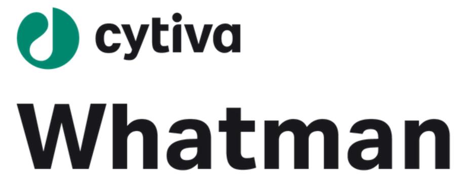 CITYVA-WHATMAN.jpg