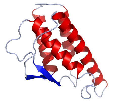 IL4_Crystal_Structure_recombinant(1).png