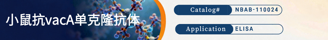 小鼠抗vacA抗体