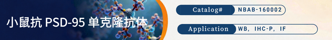 抗PSD-95抗体