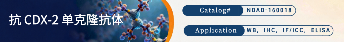 抗CDX-2抗体