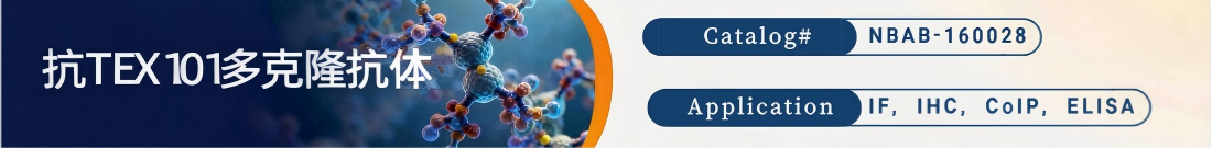 抗TEX101抗体 抗TEX101抗体