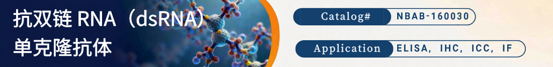 抗双链 RNA（dsRNA）抗体