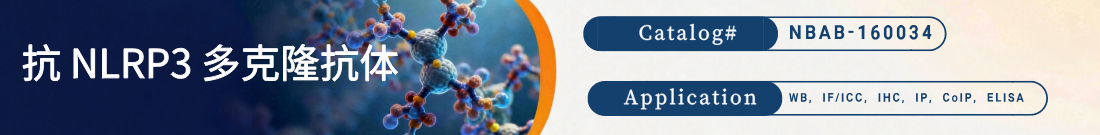 Anti-NLRP3 Polyclonal Antibody