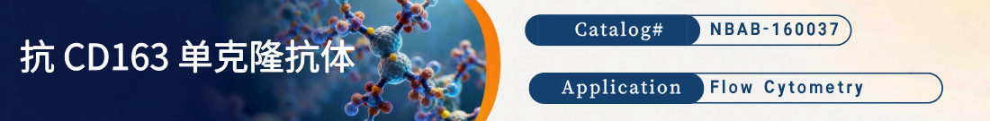 抗CD163抗体