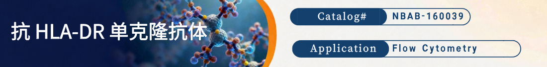 抗HLA-DR抗体