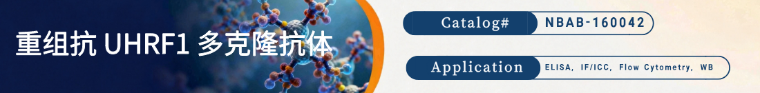 抗UHRF1抗体