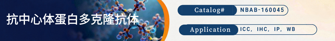 抗PCNT抗体