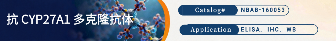 抗CYP27A1抗体