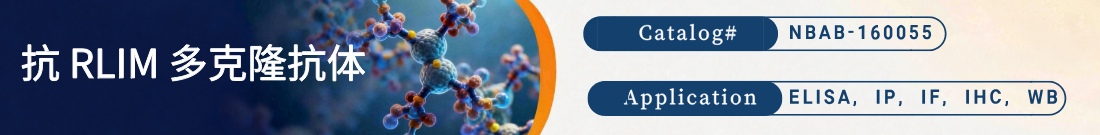 抗RLIM抗体