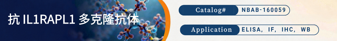 抗IL1RAPL1抗体