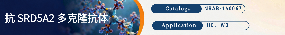 抗大鼠SRD5A2抗体