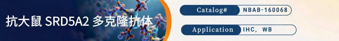 抗大鼠SRD5A2抗体