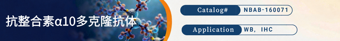 抗Integrin alpha 10抗体