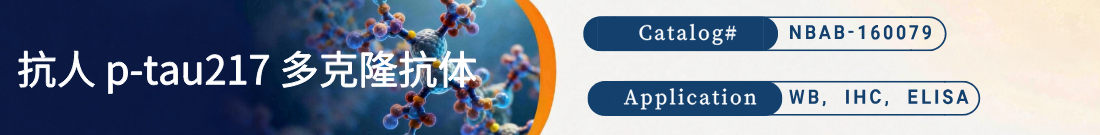 抗p-tau217抗体