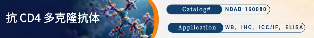 抗Zebrafish CD4抗体