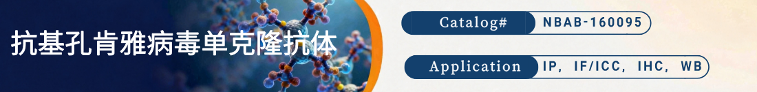 抗Chikungunya Virus, CHIKV抗体