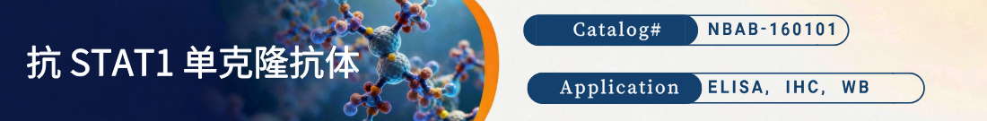抗STAT1抗体