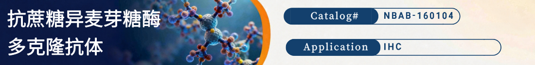 抗Sucrase Isomaltase (SI)抗体