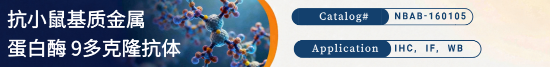 抗MMP9抗体