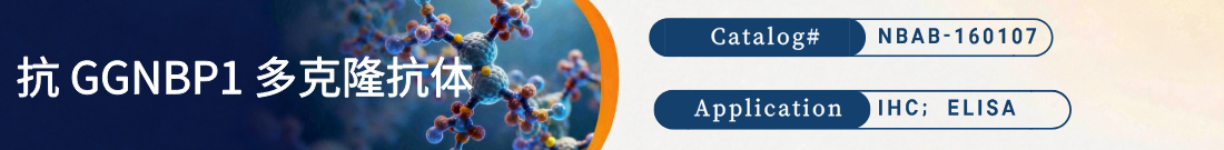 抗GGNBP1抗体