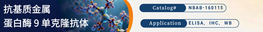 抗人MMP9抗体