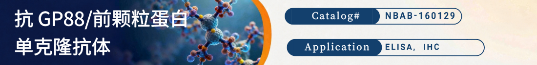 抗人Progranulin抗体